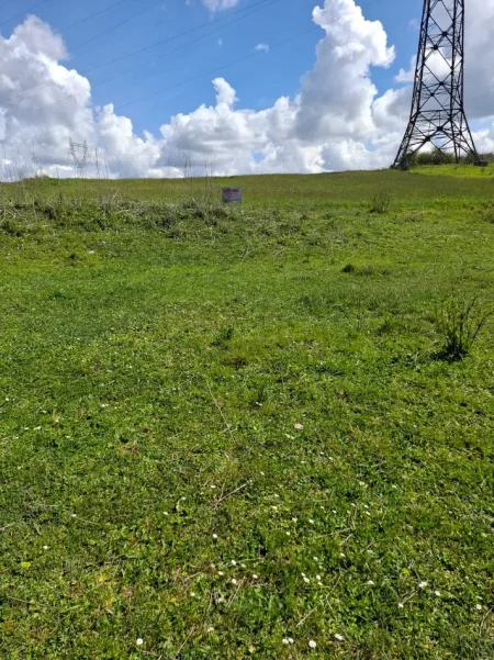 Durres, shitet toke , 626 m² 45.000 € (8FGX+X8R Durrës, Albania)