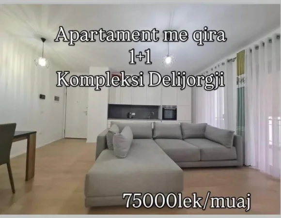Tirane, jepet me qera apartament 1+1 Kati 3, (KOMPLEKSI DELIJORGJI)