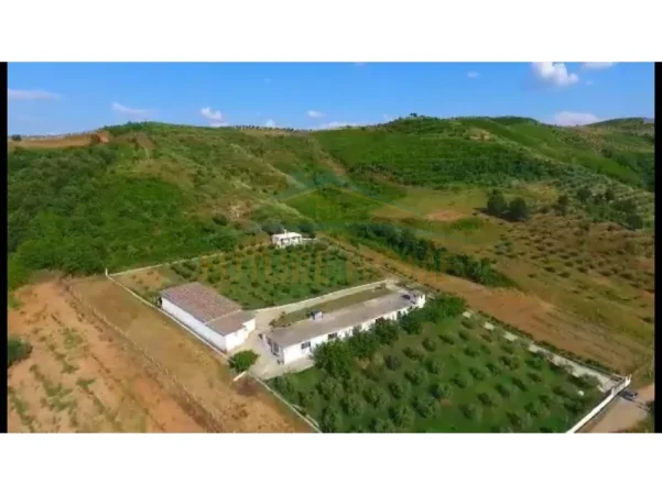 Shqiperi, shitet toke , 6.186 m² 180.000 € (Gjocaj,Peqin)