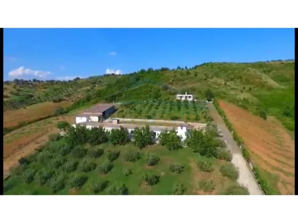 Shqiperi, shitet toke , 6.186 m² 180.000 € (Gjocaj,Peqin)