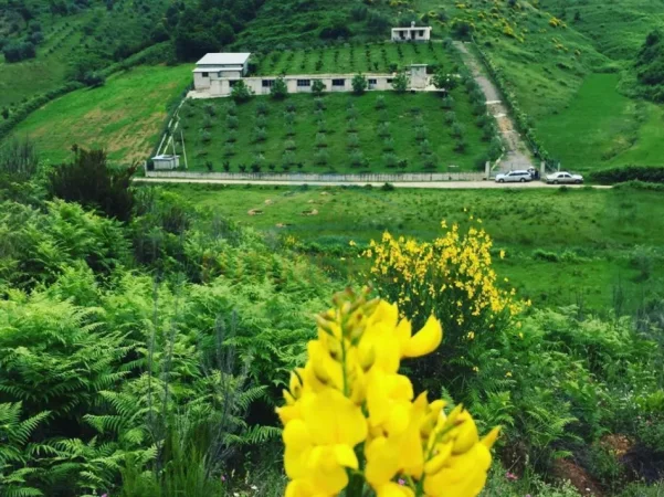 Shqiperi, shitet toke , 6.186 m² 180.000 € (Gjocaj,Peqin)