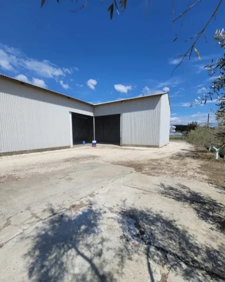 Kavaje, jepet me qera magazine Kati 1, 400 m² 1.052 € (Kavaje)