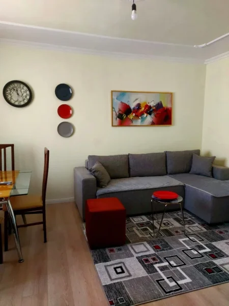 🔥Jepet me qera apartament 1+1 ne katin 5 me ashensor , 450 €  ne Ali Dem🔥