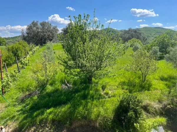 Tirane, shes toke , 4.200 m² 550.000 € 