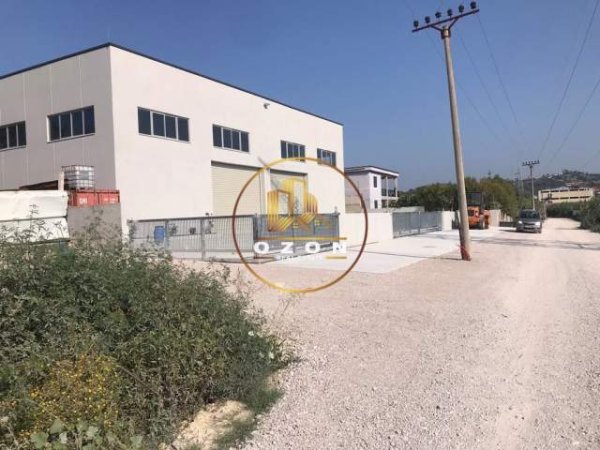 Tirane, jepet me qera magazine Kati 0, 1.200 m² 5.400 Euro (PRANE CITY PARK)