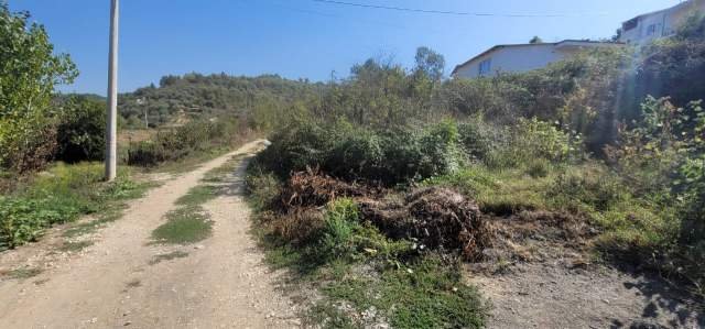 Durres, shes toke 1.700 m² 55.000 Euro (Shkallnur)