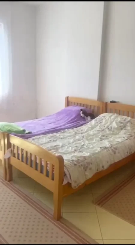 Tirane, jepet me qera apartament 1+1 Kati 5, 60 m² (Pran Bar 2 Palmat,Astir)
