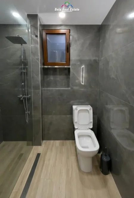 Tirane, jepet me qera Vile 1+1+Ballkon Kati 1, 50 m² 520 € (vace zela)