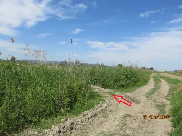 Lushnje, Shitet Toke Are, me siperfaqe 7.366 m², Ngurez e Vogel, Lushnje. Cmimi Fillestar 4,000,000 Leke