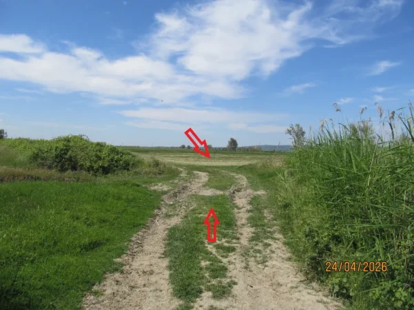 Lushnje, Shitet Toke Are, me siperfaqe 7.366 m², Ngurez e Vogel, Lushnje. Cmimi Fillestar 4,000,000 Leke