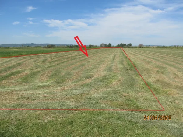 Lushnje, Shitet Toke Are, me siperfaqe 7.366 m², Ngurez e Vogel, Lushnje. Cmimi Fillestar 4,000,000 Leke
