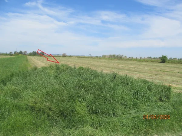 Lushnje, Shitet Toke Are, me siperfaqe 7.366 m², Ngurez e Vogel, Lushnje. Cmimi Fillestar 4,000,000 Leke
