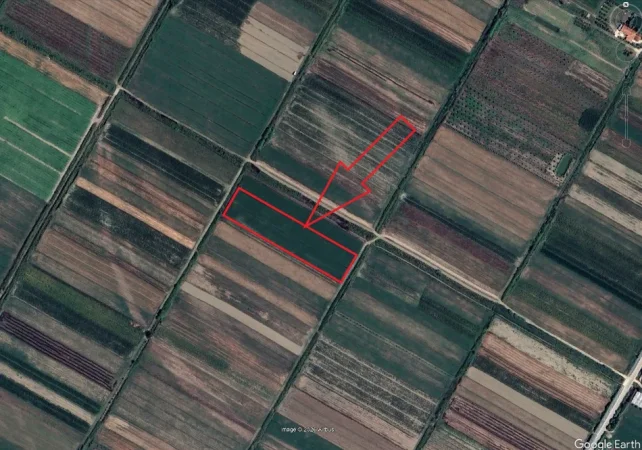 Lushnje, Shitet Toke Are, me siperfaqe 7.366 m², Ngurez e Vogel, Lushnje. Cmimi Fillestar 4,000,000 Leke