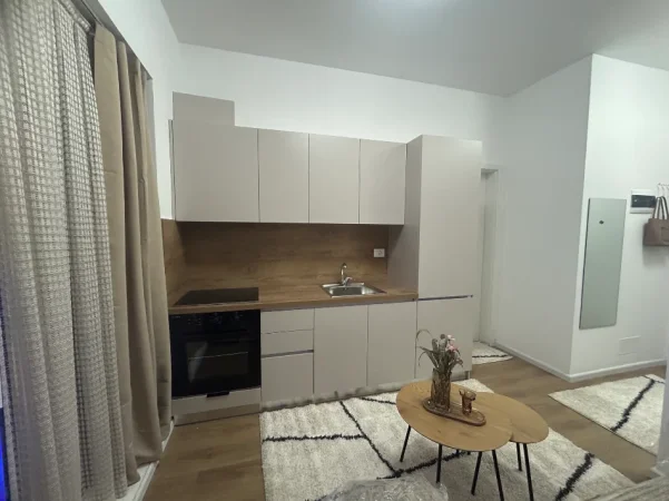 Tirane, jepet me qera garsonier Kati 2, 32 m² 270 € (fresku)