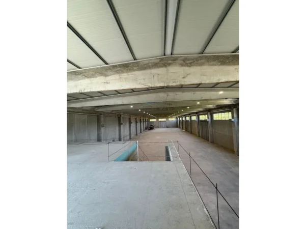 Tirane, shitet magazine Kati 0, 4.452 m² 4.500.000 € (Vore- Rinas)