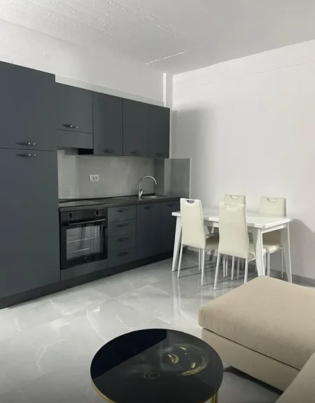 Tirane, jepet me qera apartament 1+1+Ballkon Kati 1, 400 € (Astir (prane Syri Tv))