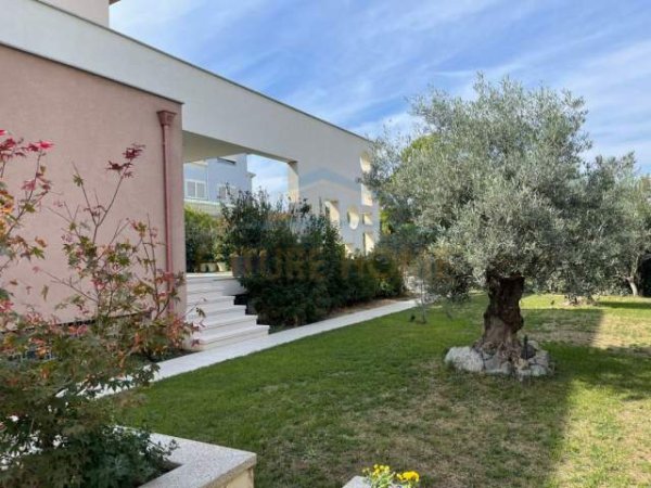 Tirane, jepet me qera Vile Kati 2, 800 m² 3.500  (TEG)