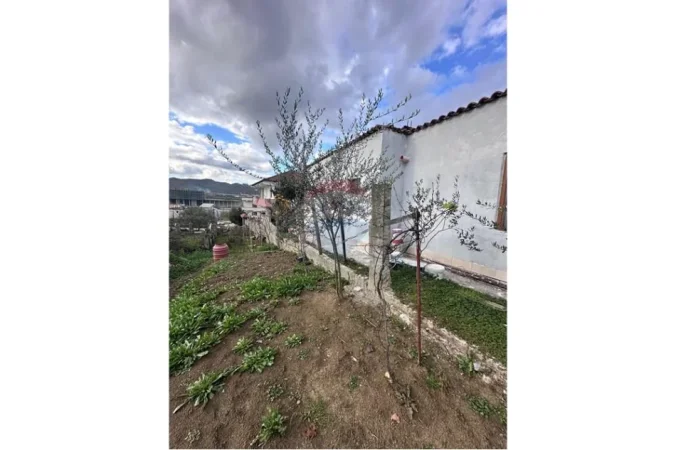 Tirane, shitet , 322 m² 250.000 € 