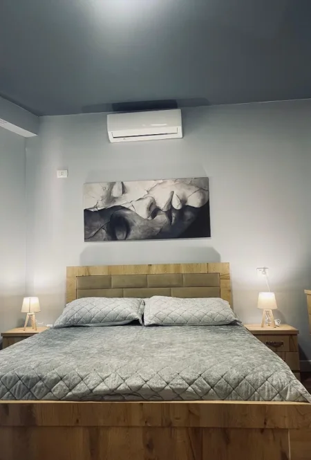 Tirane, jepet me qera apartament 2+1 Kati 1, 100 m² 650 € (Kopshti Botanik)