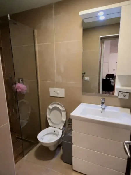 Tirane, jepet me qera apartament 1+1 Kati 0, 60 m² 550 € (Liqeni i thate)