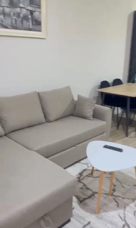 Tirane, jepet me qera apartament 1+1 Kati 1, 66 m² 500 € (Urban Gate)