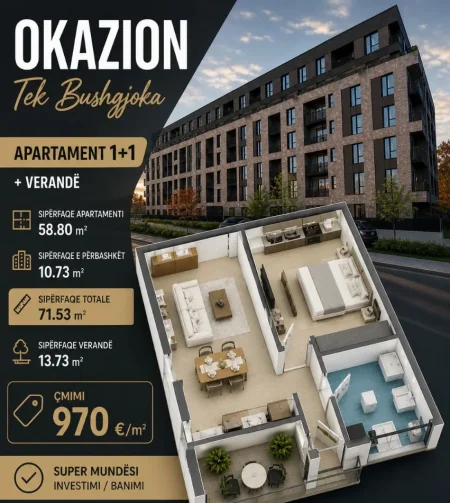 Tirane, shitet apartament 1+1+Ballkon , 71 m² 