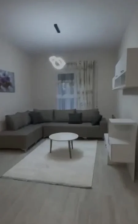 Tirane, jepet me qera apartament 1+1 Kati 1, 74 m² 500 € (Rruga Teodor Keko)
