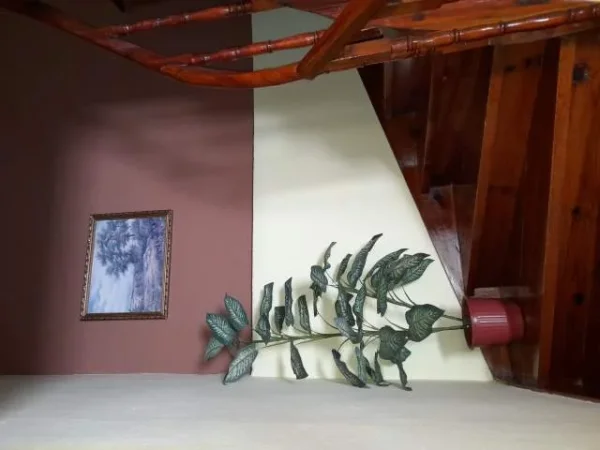 URGJENT!! Gjirokaster, shitet  Vile 400 m² 160.000 Euro (Astrit Karagjozi, zona muzeale)