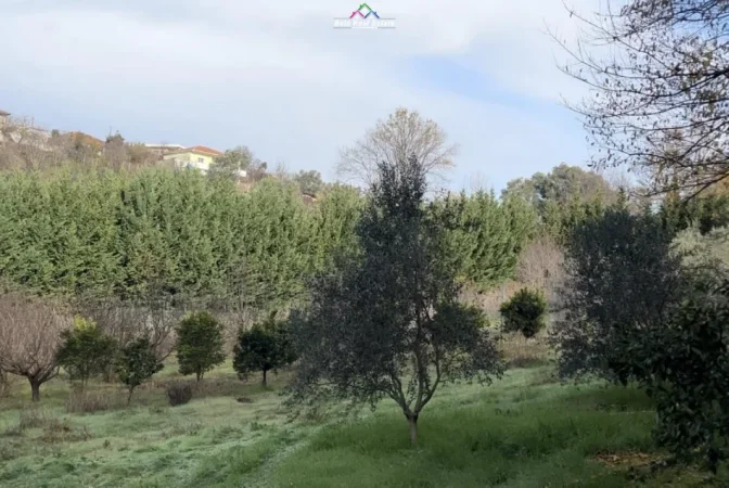 Tirane, shitet toke , 2.000 m² 260.000 € (Prush)