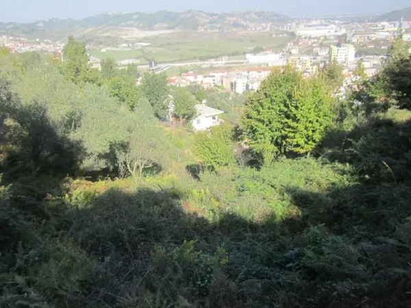 Tirane, shitet truall , 2.000 m² (Vore)