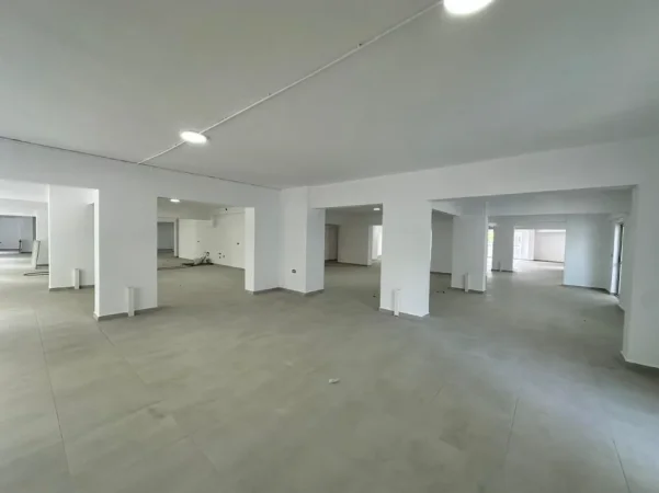 Tirane, shitet ambjent biznesi , 950 m² (Rruga Dritan Hoxha)