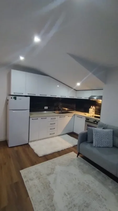 Tirane, jepet me qera apartament 1+1 , 68 m² 450 € (Rruga e Kavajes)