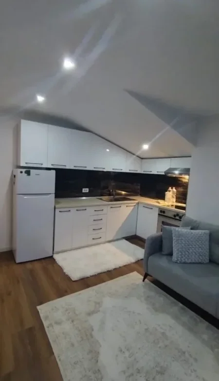 Tirane, jepet me qera apartament 1+1+Aneks+Ballkon Kati 3, 68 m² 450 € (rruga e kavajes)