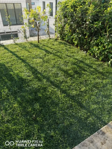 Tirane, shitet Vile 4+1+Aneks+Ballkon Kati 0, 299 m² 1.000.000 € 
