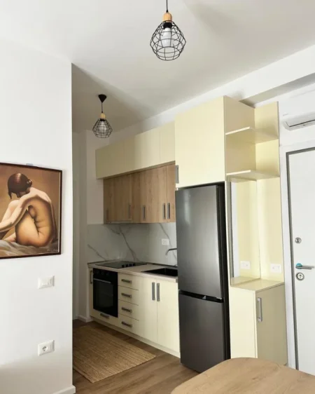 Tirane, jepet me qera apartament 1+1 Kati 2, 50 m² 450 € (Ali Demi Kompleksi Kadiu)