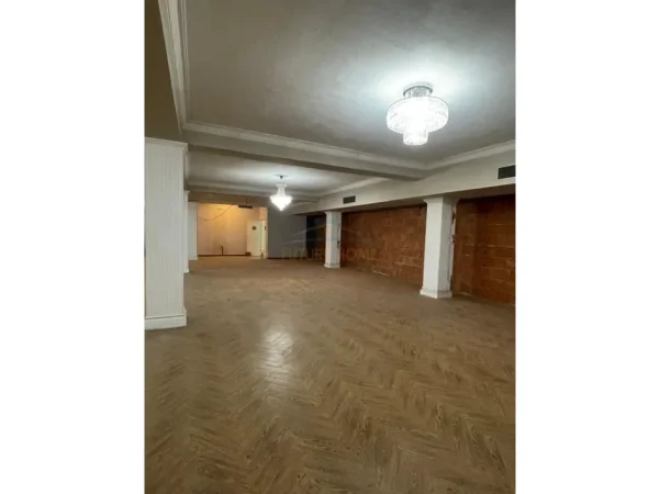 Tirane, shitet ambjent biznesi Kati -1, 441 m² 793.800 € (Unaza e Re)