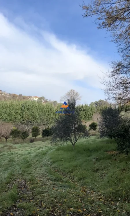 Tirane, shitet toke , 2.000 m² 260.000 € 
