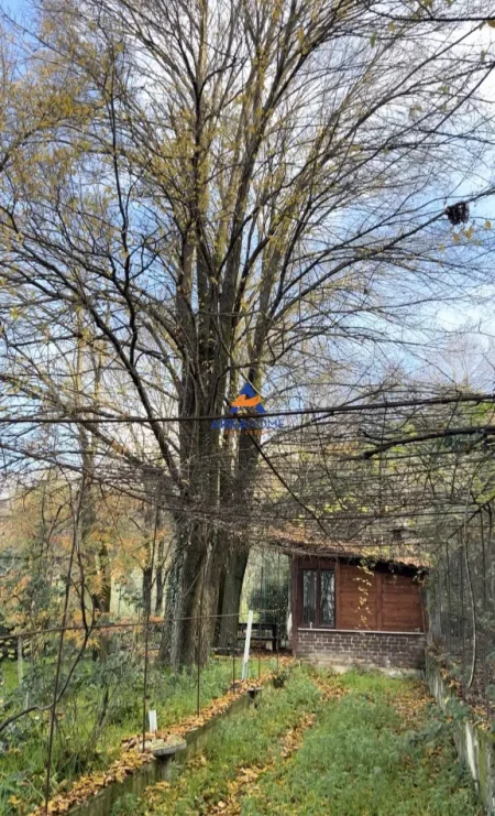 Tirane, shitet toke , 2.000 m² 260.000 € 