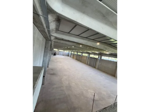 Tirane, jepet me qera ambjent biznesi Kati 0, 4.452 m² 12.000 € (Vore)