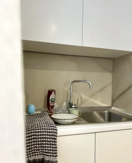 Tirane, jepet me qera apartament 1+1 Kati 1, 46 m² 600 € (Liqeni Artificial)