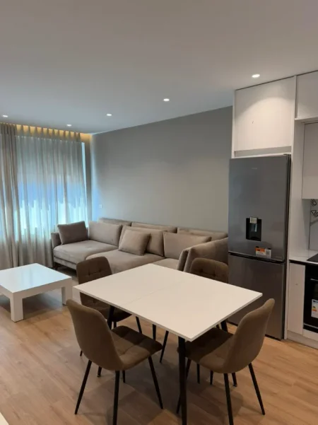 Tirane, jap me qera apartament 1+1 Kati 5, 800 € (Rruga e Elbasanit, Kompleksi Xheluks)