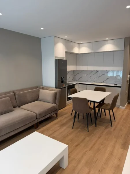 Tirane, jap me qera apartament 1+1 Kati 5, 800 € (Rruga e Elbasanit, Kompleksi Xheluks)