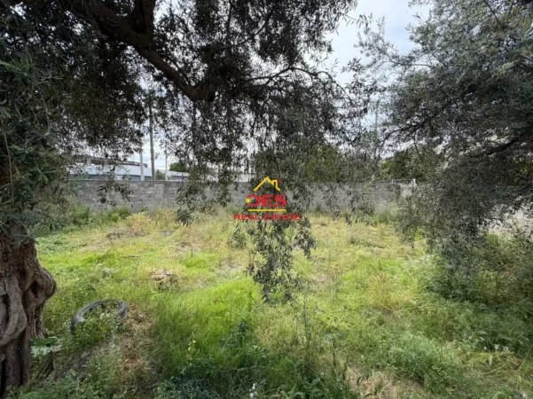 Vlore, shitet shtepi Kati 0, 66 m² 110.000 € (Rruga Janaq Kilica)