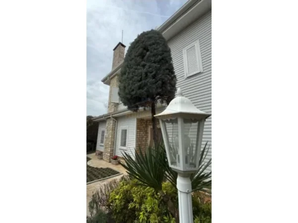 Tirane, jepet me qera Vile 3 Katshe , 255 m² 4.200 € (TEG , Garden Vila)