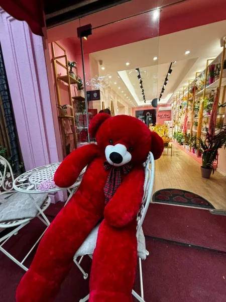 Tirane, shes SHITET BIZNES LULESH 20.000 €
