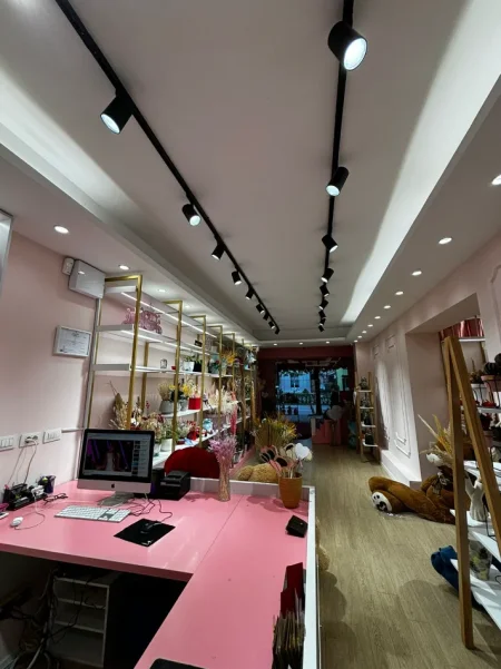 Tirane, shes SHITET BIZNES LULESH 20.000 €