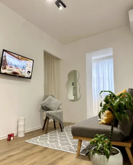 Tirane, jepet me qera apartament 1+1 Kati 1, 46 m² 600 € (Liqeni Artificial)