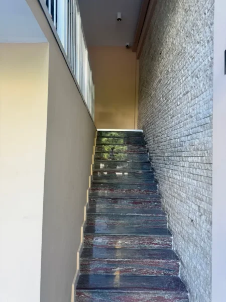 Tirane, jepet me qera lokal Kati 0, 60 m² 1.800 € (QENDER)
