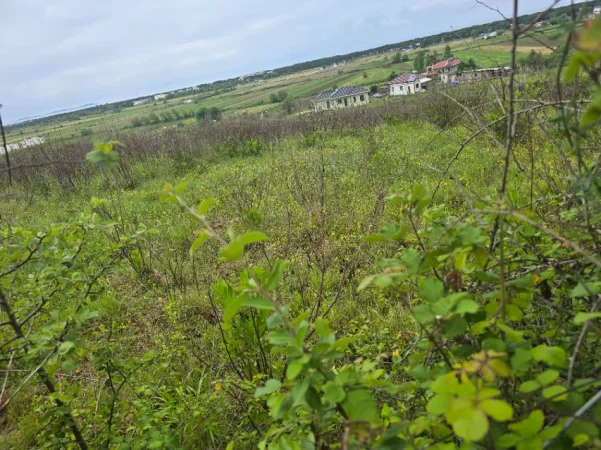 GJIRI LALZIT, shes toke ne bregdet 8.058 m² per fshat turistike me vila.