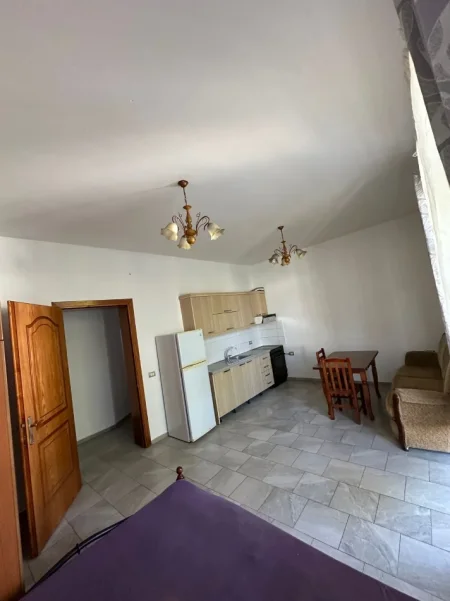 Tirane, jepet me qera garsonier 1+1 Kati 2, 28 m² 300 € (ne rrugen Havzi Nela Tirane)